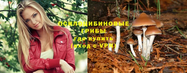 прущий лед Сясьстрой