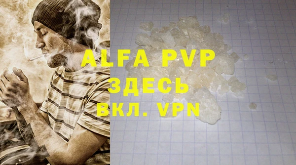 прущий лед Сясьстрой