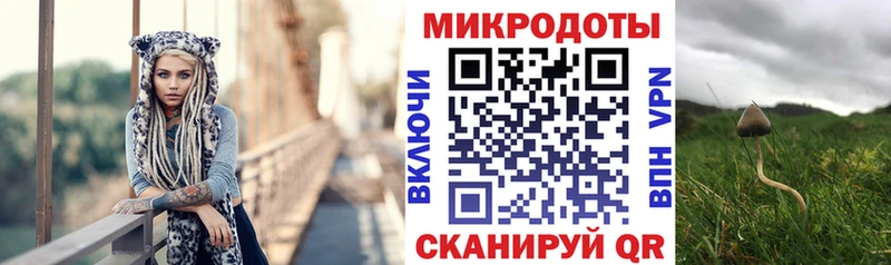 Псилоцибиновые грибы мицелий Купить закладки Спас-Деменск